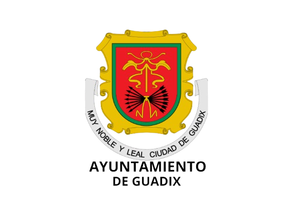 Ayuntamiento de Guadix Empresa 12